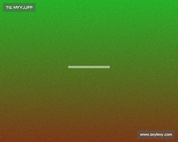 深度描绘女子网球各级赛事全景:从大满贯到挑战赛的竞技舞台