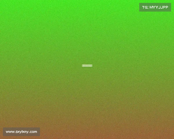 詹姆斯篮球比赛